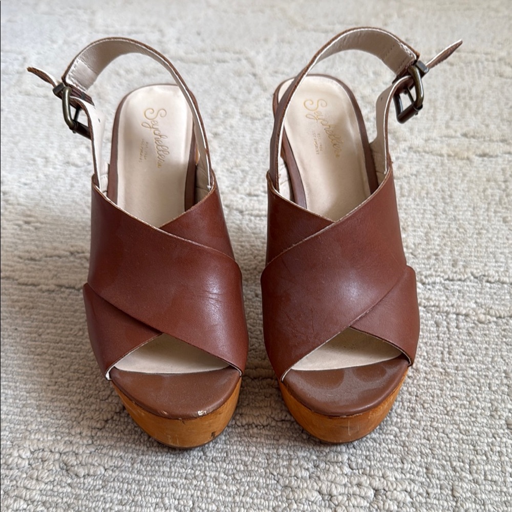 Seychelles Brown Platform Sandals with Chunky Heel